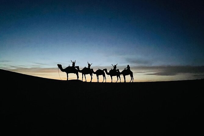 3 Days 2 Nights Desert Tour from Fes to Marrakech via Merzouga - Day 1: Ifrane, Cedar Forest Stops, Midelt Apples, and Merzouga Arrivals