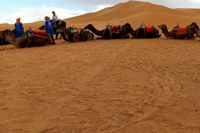 3 Days 2 Nights: Desert Tour from Fes to Marrakech - Camel Ride and Desert Camp Night: The Part That Makes the Transfer Worth It
