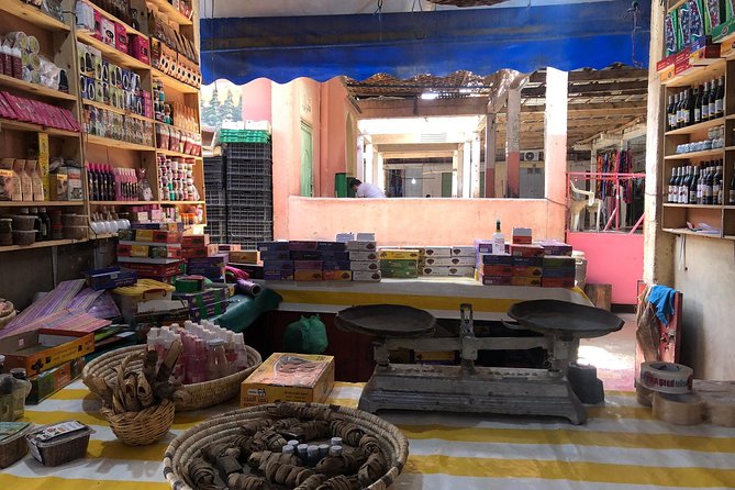 3 days 2 nights desert trip Fes to Marrakech - Azrou cedar forests and the macaque lunch drama