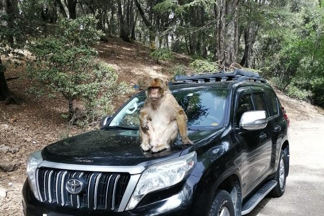 3 Days 2 Nights Desert Trip to Marrakech from Fes - Transport, timing, and group size: what changes with max 15 people