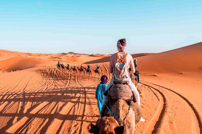 3 Days 2 Nights from Fes to Marrakech Private Luxury Desert Tour - Price and value: is $550.74 per person worth it?