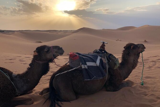 3-Days 2 Nights from Fes to Marrakech Private Luxury Desert trip - The Erg-Chebbi camel ride and camp night: the part you’ll remember