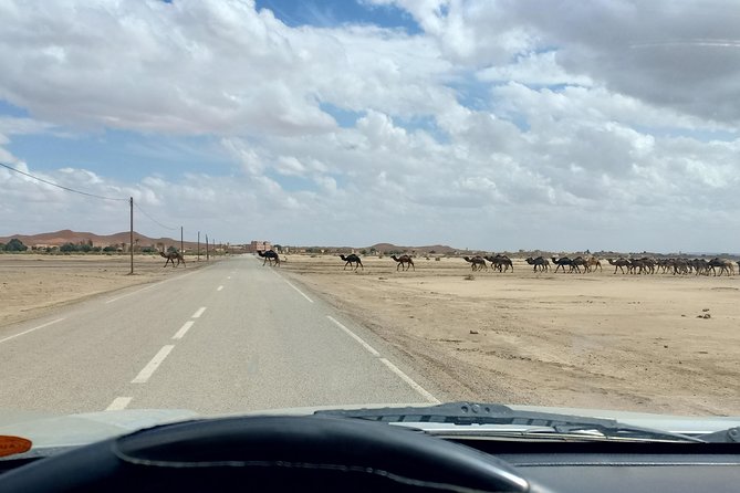3 Days 2 Nights Private Tour from Marrakech to Fes via Sahara Desert - Day 2: Todra Gorges walk to Merzouga dunes, camel ride, and night under the stars