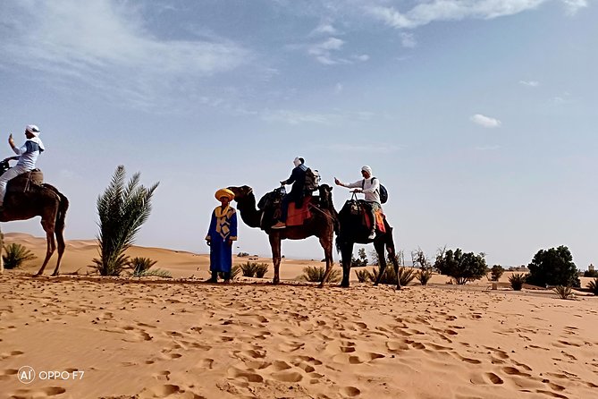 3 Days 2 Nights Private Tour from Marrakech to Fes via Sahara Desert - Day 3: sunrise dune moment, Tafilalet palm grove, Midelt breaks, and Ifrane’s Swiss-style contrast