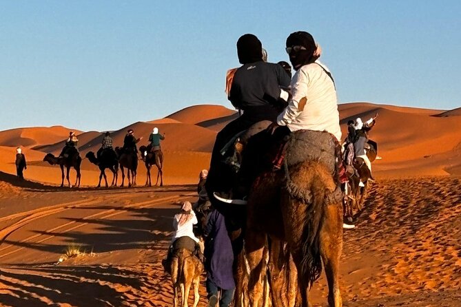 3 Days/2 nights Sahara Desert Trip to Merzouga From Marrakech. - Price and Value: What $128.55 Really Buys You