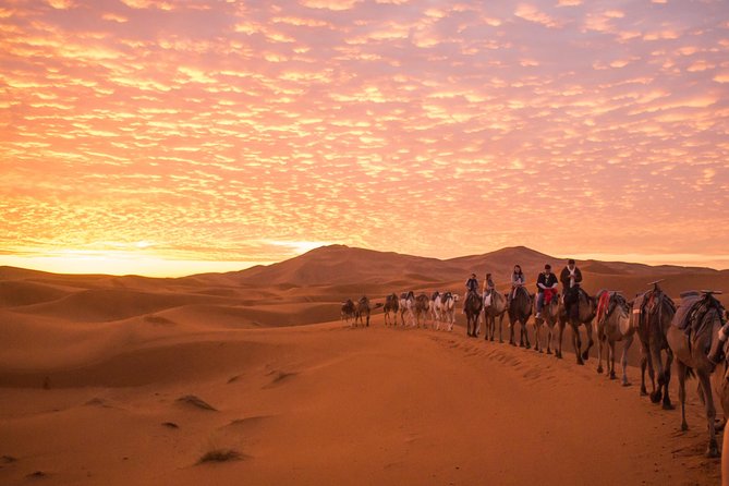 3 Days 2 nights trip starting from Fez ending in Fez via Sahara Desert Merzouga - Price and Logistics: Is $447.05 Worth It?