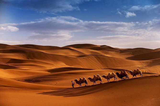 3 Days 2 nights trip starting from Fez ending in Fez via Sahara Desert Merzouga - The Camel Trek and Desert Camp Night: Where the Desert Actually Takes Over