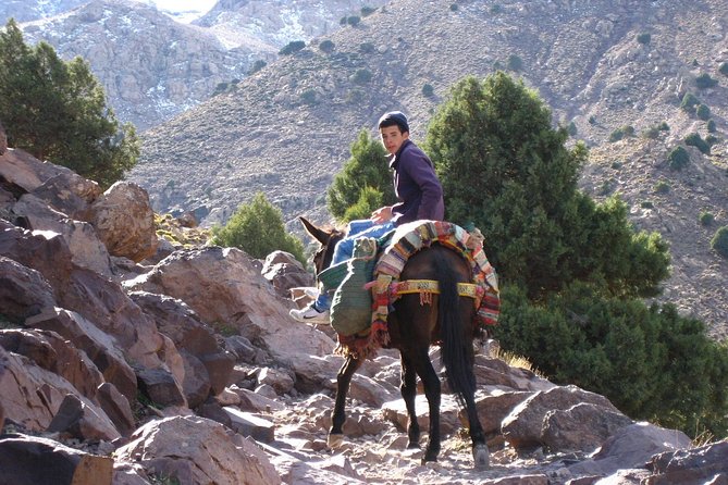 3 Days Berber villages Hike (Atlas Mountains) - Price and logistics: what $232.38 buys you (and why it can be good value)