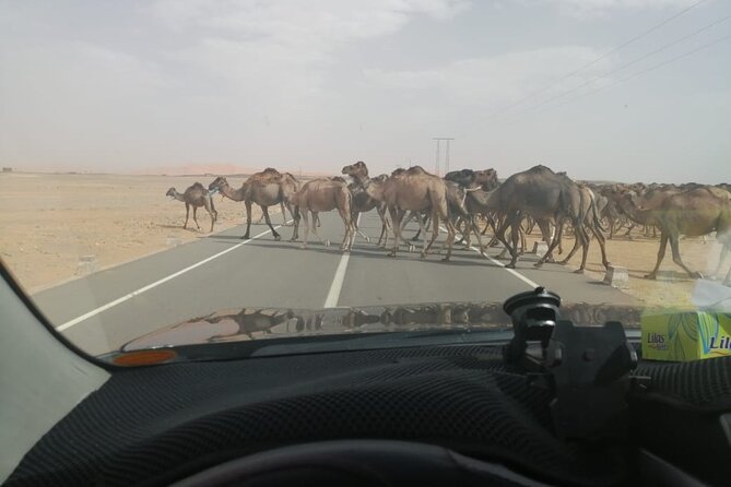 3 Days Desert Tour Fes to Marrakech with 2 Nights in Merzouga - Guides and the small touches that make it smoother
