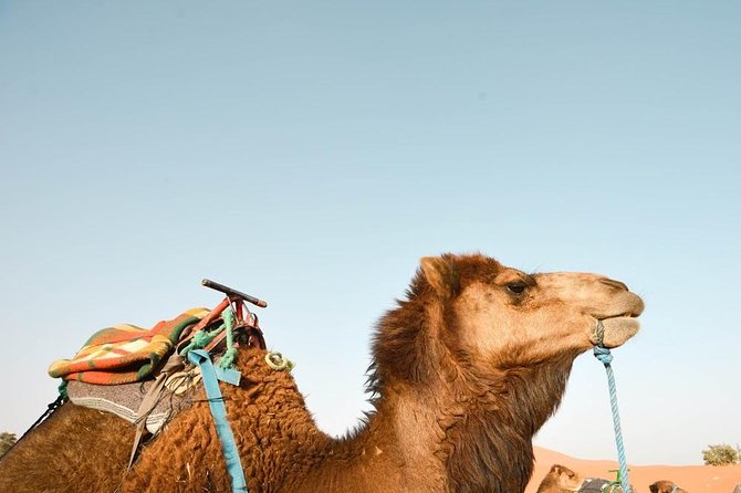 3 Days Desert Tour from Fes to Marrakech via Merzouga - Getting from the desert to Marrakech via Ait Ben Haddou and Atlas Film Studios