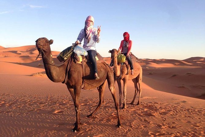 3 Days Desert Tour from Fes to Marrakech via Merzouga - Price and value: what $801.40 includes (and what to budget for)