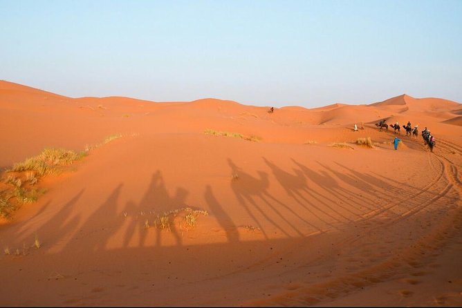 3 Days Desert Tour from Fes to Marrakech via Merzouga - Who this tour fits best (and who should rethink it)