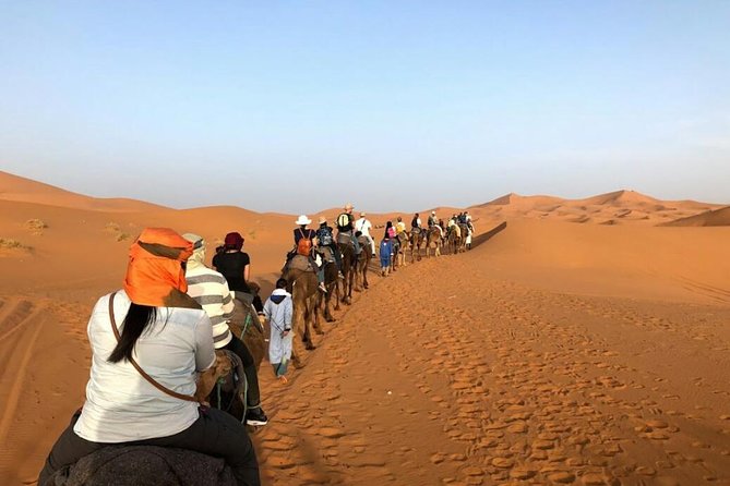 3 Days Desert Tour from Fes to Marrakech via Merzouga - Should you book the 3-day desert transfer from Fez to Marrakech?