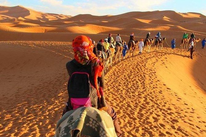 3 Days Desert Tour from Fez to Marrakech via Merzouga - Day 1 from Fez to Merzouga: cedar forests, Ziz Valley, and a sunset camel ride