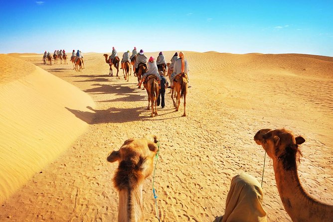 3 days Desert tour from Fez to Marrakech via Merzouga - How the Stops Work Together: From Lions to Kasbahs to Marrakech Streets