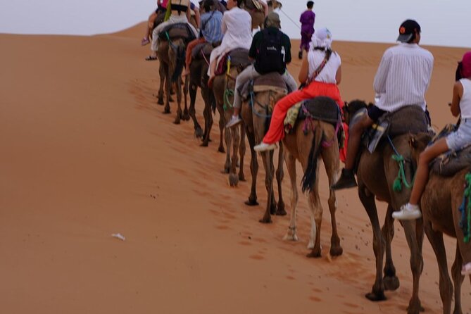 3 Days Desert Tour From Marrakech to Merzouga - Who should book this Marrakech to Merzouga 3-day tour