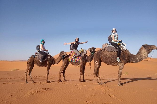 3 Days Desert Tour From Marrakech To Merzouga & Camel Trek - Merzouga Day 2: Erg Chebbi dunes, sunset camels, and camp life