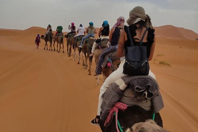 3 Days Desert Tour From Marrakech To Merzouga dunes & camel trek - Who should book this tour, and who should pass