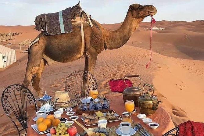 3-Days Desert Tour from Marrakesh - High Atlas to Ait Ben Haddou: the start that sets the pace