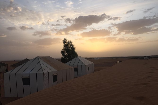 3-Days Desert Tour from Marrakesh - Telouet’s ruins and the Atlas roads: scenic, but plan for motion