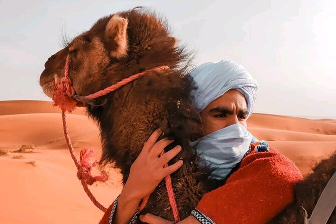 3 Days Desert Tour in Marrakech to Merzouga Dunes and Camel Trek - Day 2: Merzouga Road via Todra Gorges, Oasis Villages, and Erg Chebbi