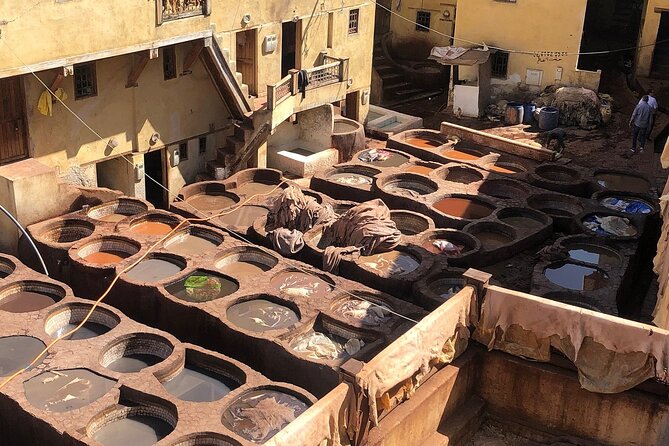 3 Days Desert Tour to Fes from Marrakech - Day 3: Erfoud fossils, cedar forests with Barbary macaques, and arrival in Fes