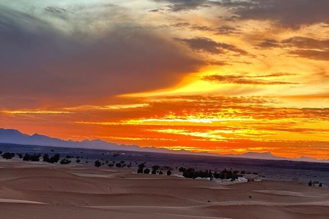3 Days Desert Tour to Fes from Marrakech - Price and what $214.87 buys you (and what it doesn’t)