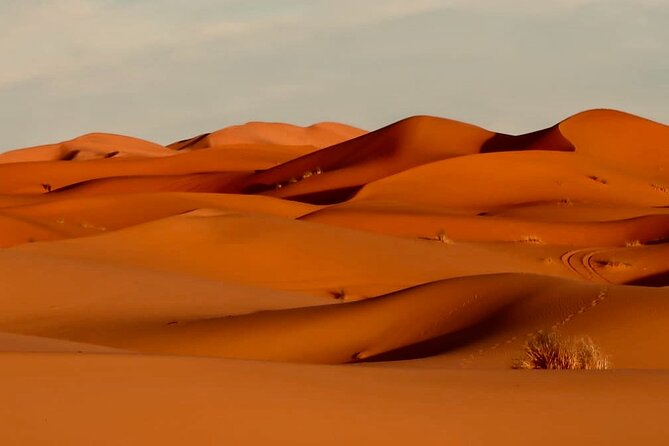 3 Days Excursion into Merzouga Desert - Dades and Todgha Gorges: Short Stop, Big Payoff