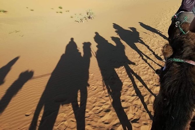 3 Days Fez to Marrakech via Sahara - Why this one-way route is a smarter way to travel Morocco