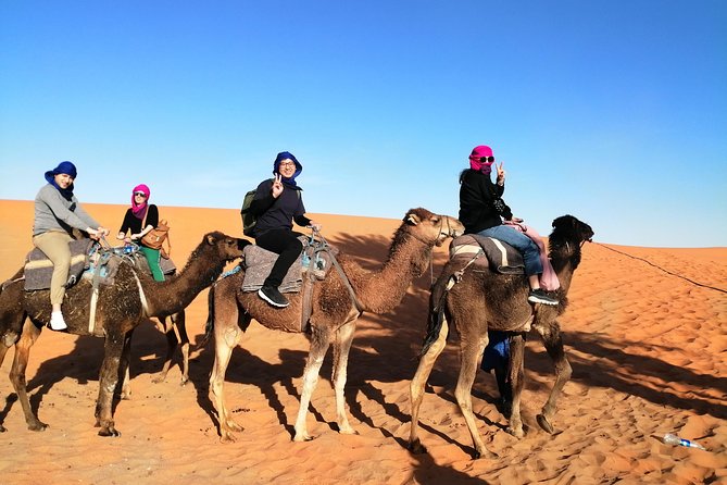 3 Days From Marrakech Merzouga ends in Fez - First day in Morocco: Jemaa el-Fnaa to Aït Ben Haddou kasbah views