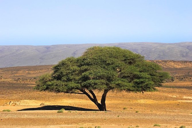 3 Days From Marrakech To Erg Chigaga - What’s included (and what you should bring anyway)