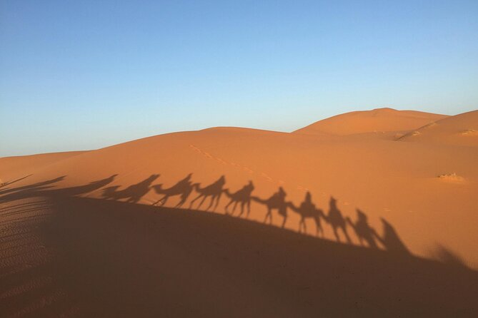 3 days from Marrakech to Merzoga: Camel ride and Lux tent - Day 2 Todra Gorge to Erg Chebbi: the day the air changes