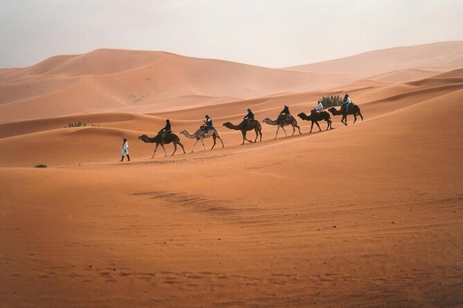 3 days from Marrakech to Merzoga: Camel ride and Lux tent - Ouarzazate and the Rose Valley: scenic breaks that add texture