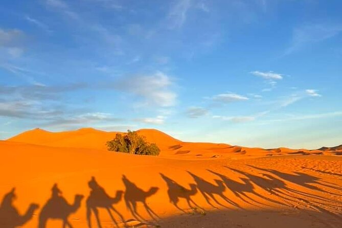 3 Days Group Tour from Marrakech to Merzouga Desert - Early wake-up for Erg-Chebbi sunrise, then the ride back via Draa Valley
