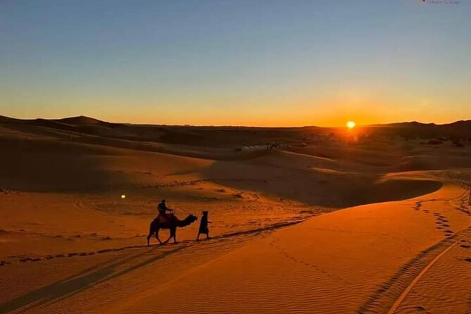 3 Days Group Tour from Marrakech to Merzouga Desert - Who should book this Marrakech to Merzouga group tour?