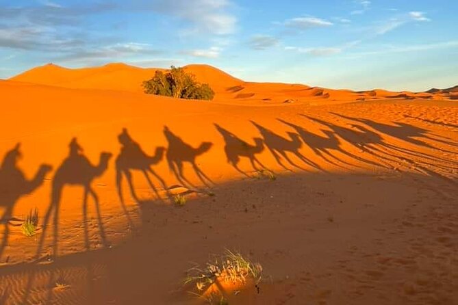 3 Days Group Tour from Marrakech to Merzouga Desert - Ait Ben Haddou and Ouarzazate: Kasbah views and film-world stops