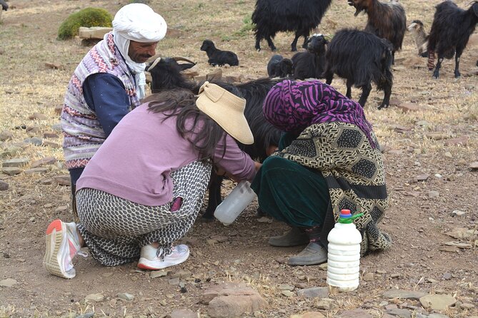 3 Days Homestay with Last Berber Nomads in The Atlas Mountains - Price and value: what $476.93 buys over 3 days