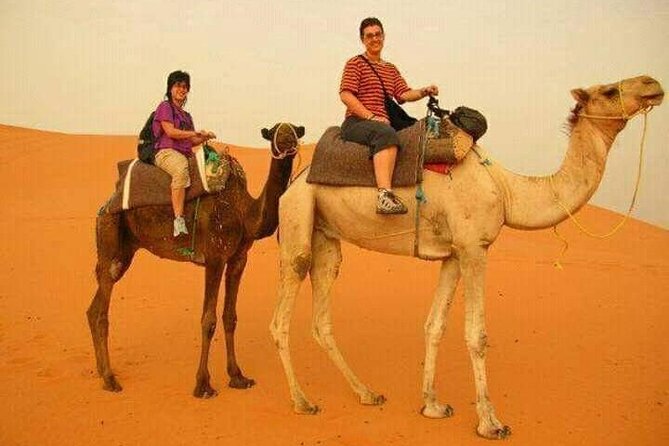 3 Days Luxury Desert Tour From Fes To Marrakech via Merzouga - Price and Comfort: Is $221 a Smart Value?
