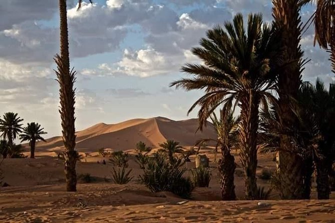 3 Days Luxury private Desert Tour From Fez to Marrakech - Price and logistics: is $685.93 per person fair value?