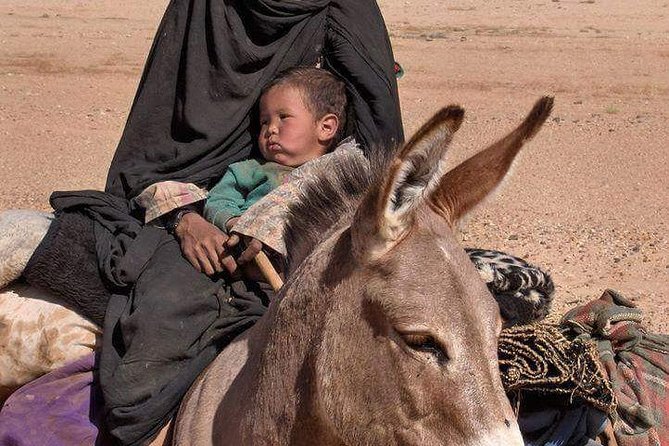 3 Days Marrakech To Fes Desert Tour Via Merzouga - Merzouga and Erg Chebbi: camel time, then a night in the dunes
