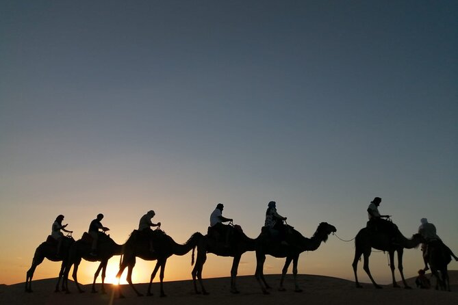 3-Days Merzouga Desert Guided Tour from Marrakech To Fez - Day 3 in “Moroccan Switzerland” Ifrane and the Azrou cedar forest monkeys