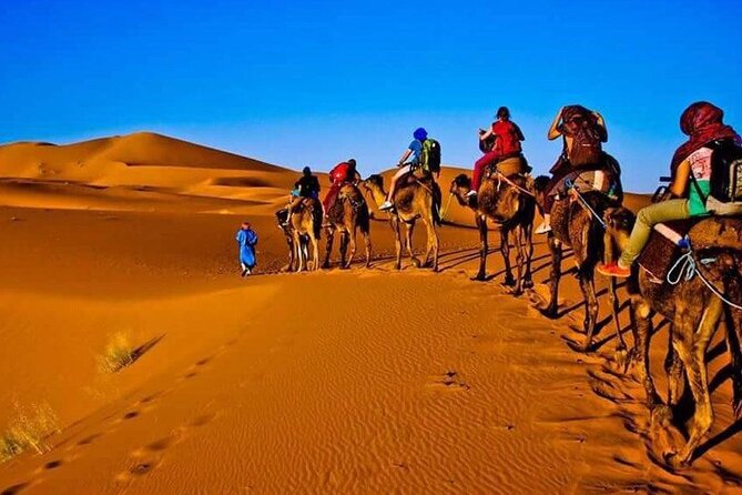 3 Days Merzouga Desert Shared Trip - Key highlights I’d bet on