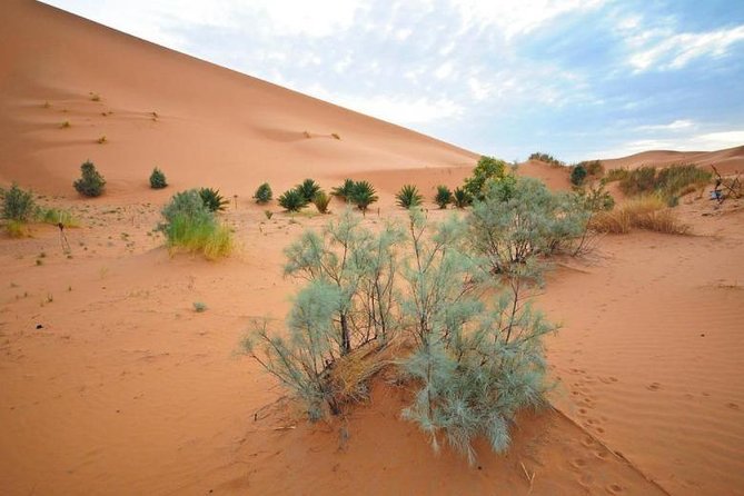 3 Days Merzouga Desert Tour from Marrakech to Fes - Erg Chebbi and the Berber camp: dunes, camel ride, and sky time