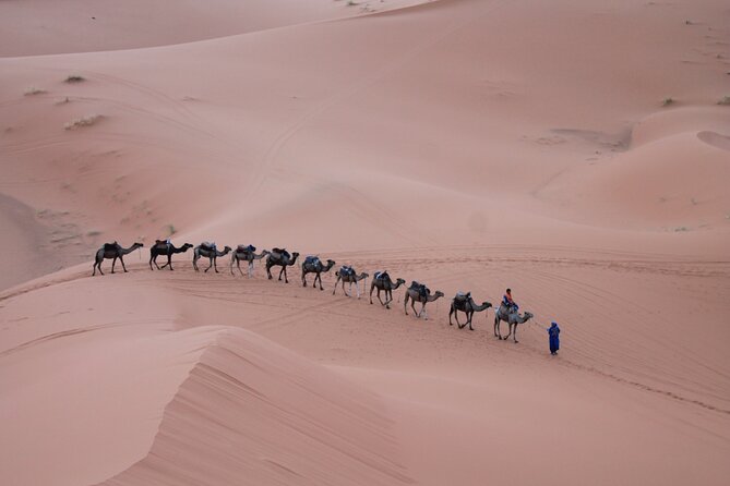3-Days Morocco Desert Tour from Marrakech to Marzouga - Which desert camp option fits your style: standard shared or luxury private?