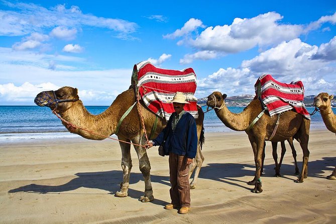 3 Days Morocco Private Tour from Tangier - Day 3 in Tetouan and Tangier: Andalusian medina streets and a sea-city finale