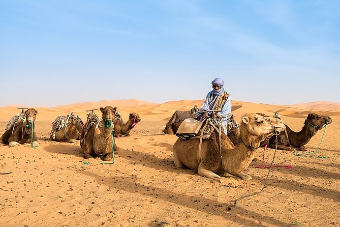 3-Days Morocco Tour : Sahara Desert Tour from Fes to Marrakech - A fast, high-drama route from Fes to Marrakech