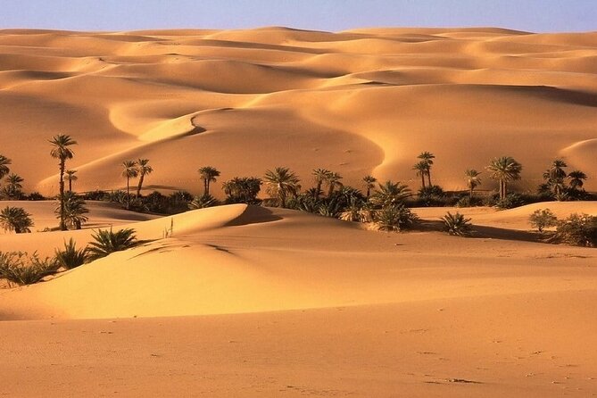 3 Days Multi-day Tour at Marrakech Desert - Erg Chebbi: the camel trek, the sunset dune, and your camp night