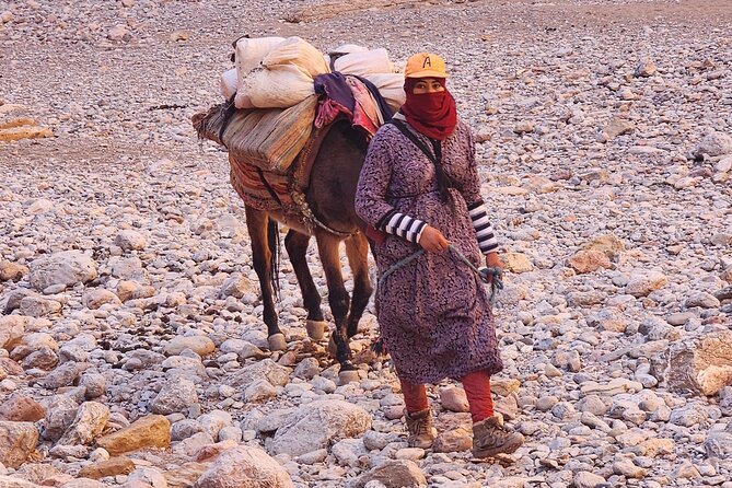 3 Days Priavte Desert Tour From Marrakech To Merzouga &Camel Trek - Should You Book Morocco Noumidia Aventure’s Desert Tour?