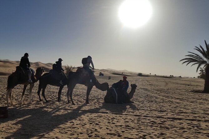 3 Days Private Desert Tour From Fez To Marrakech - Day 3: Roses Valley, Skoura, Ouarzazate, Ait Ben Haddou, and the High Atlas into Marrakech