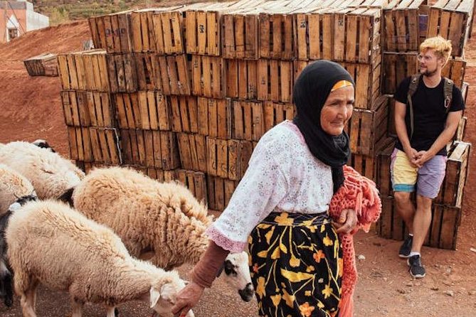 3 Days: Private Desert Tour from Marrakech to Merzouga via Atlas & Camel Trek - Rose Valley and Dades: Where Green Shows Up in an Earthy World